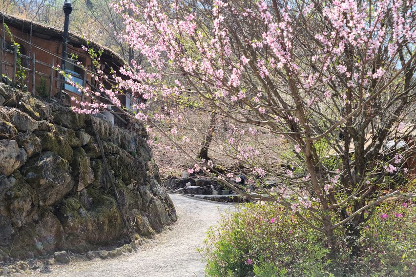 구례 황토방쉼터/하심정 16번째 이미지