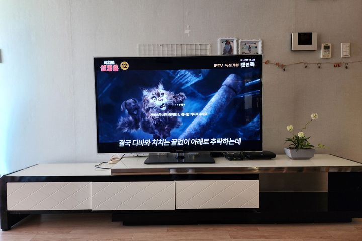 강릉시내권 조용한집 2번째 이미지