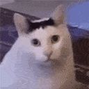 osh test환경2 방 이미지