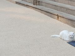 아트앤스테이 SA301 10번째 이미지