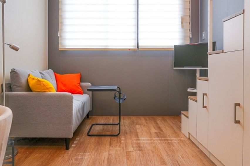 미금/정자🐕댕냥이OK