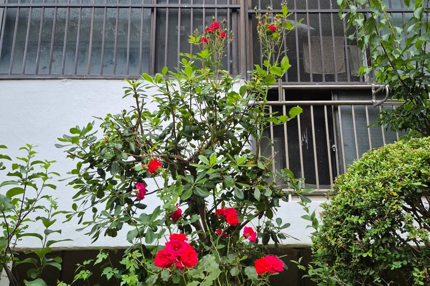 주례역코앞 23평아파트