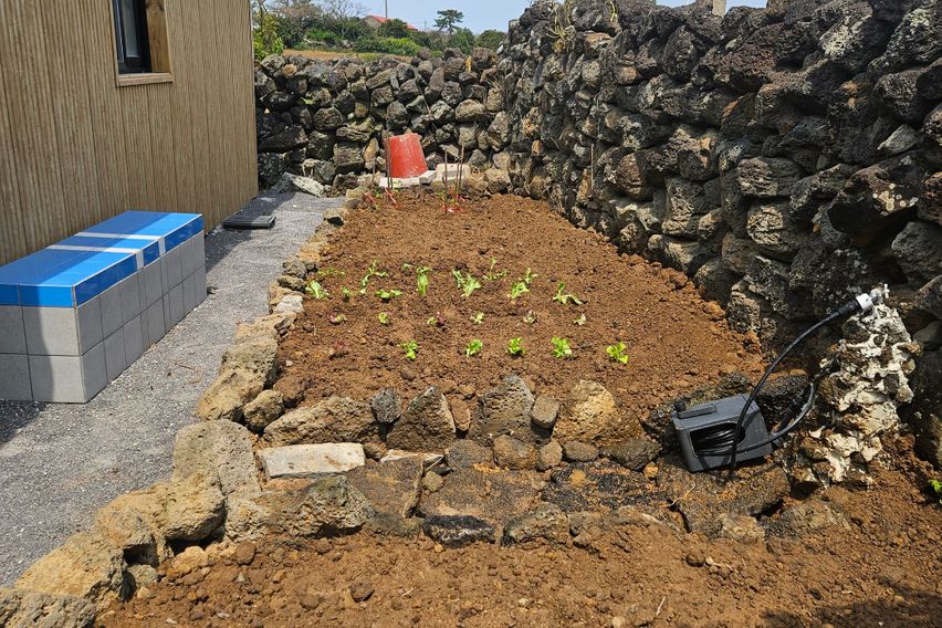 고산, 독채, 텃밭등