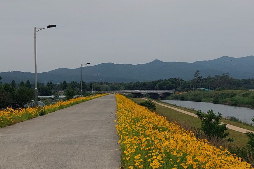 터미널 도보3분301 18번째 이미지