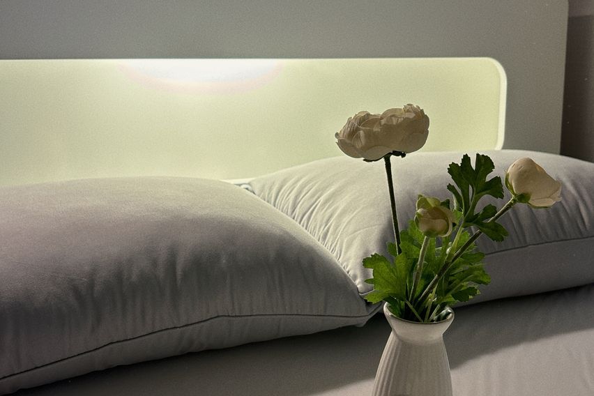 정자역/푸른Stay