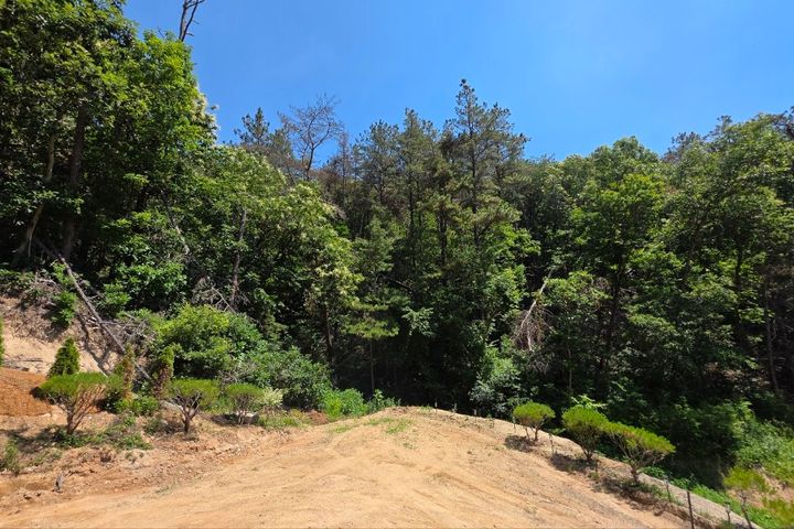Yangpyeong Nature Rest House 14th image