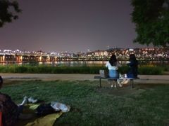 신사 한강 가로수강남 13번째 이미지
