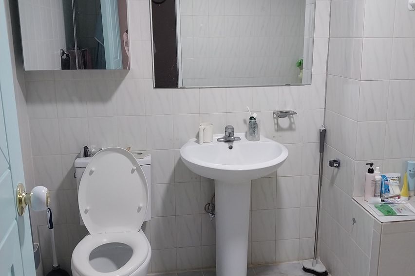 동두천종합운동장 하늘숲 10번째 이미지