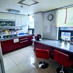 울산실속형스테이🌿D