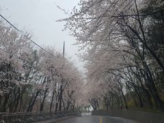 단기임대포항독채저렴달방 4번째 이미지