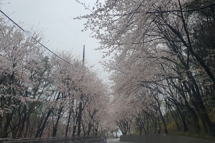 단기임대포항독채저렴달방 4번째 이미지