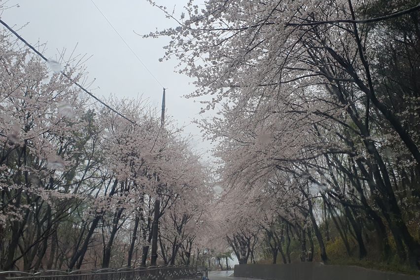 단기임대포항독채저렴달방