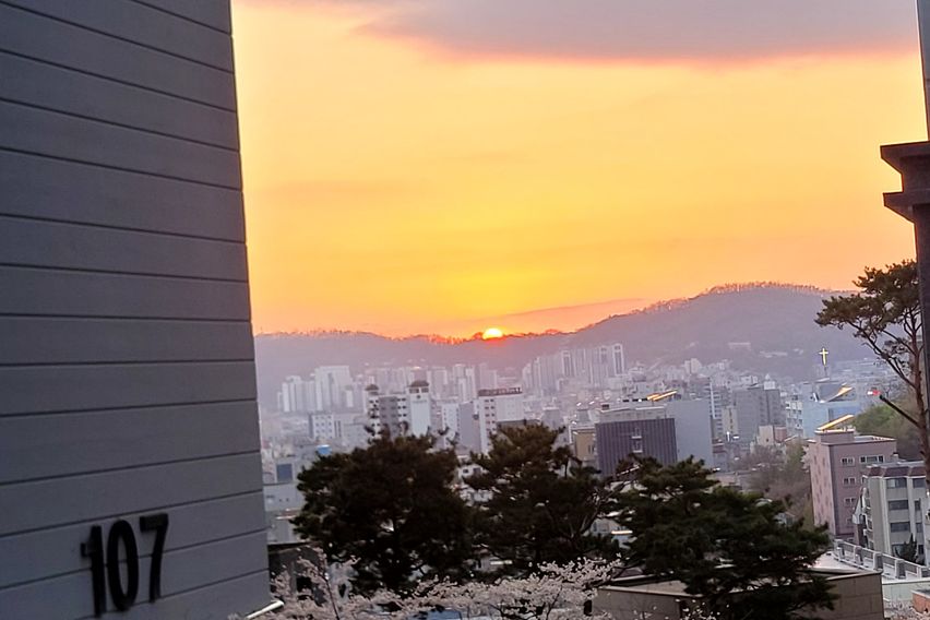 ㅁㅇ 7번째 이미지