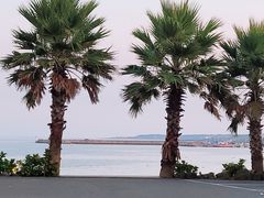 ●성산 바닷가숙소B 2번째 이미지