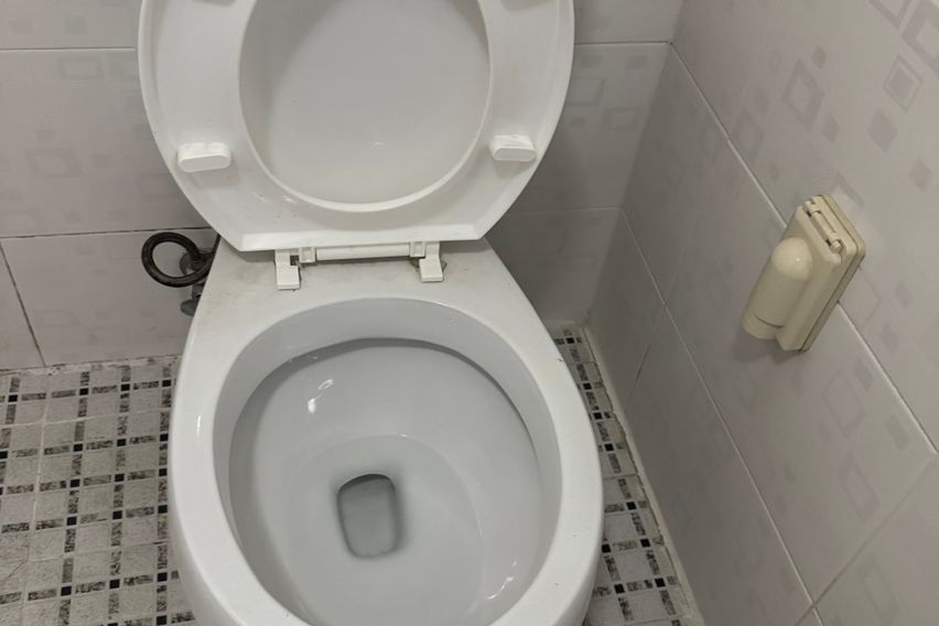 옐로우 하우스 17번째 이미지