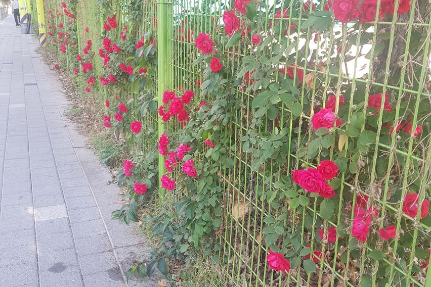 모텔테스트_수정테스트