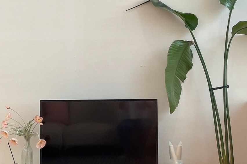 ♧범계역 ♧깨끗.휴식♧ 3번째 이미지