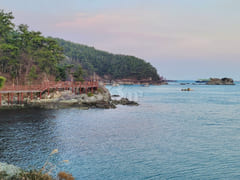 Geoje Center 1.5 Room #204 14th image
