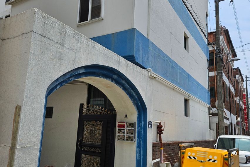 반려동물좋아요.