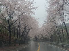 단기임대포항독채저렴달방 5번째 이미지
