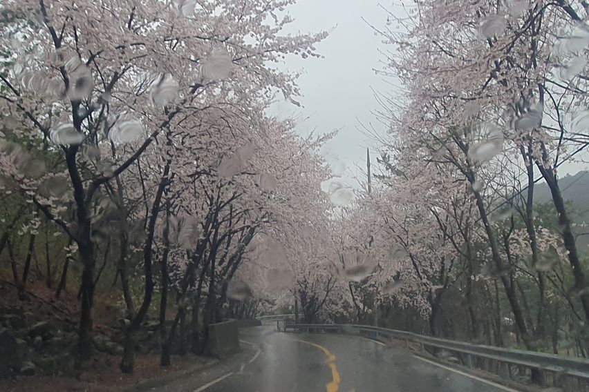 단기임대포항독채저렴달방
