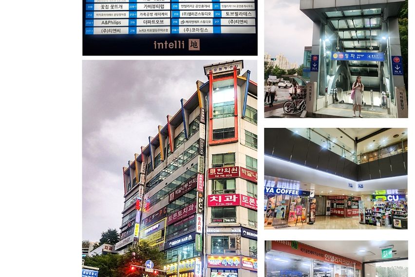 🤎정자/판교(건조기)