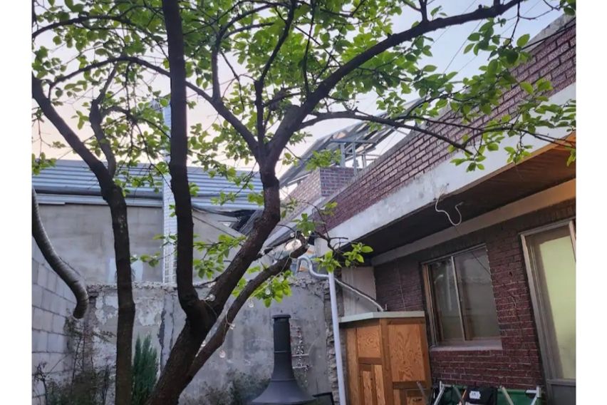 캠핑애견짐보관가능주택 1번째 이미지