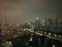 신사 한강 가로수강남 1번째 이미지