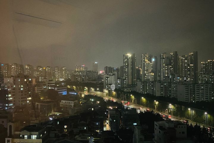 신사 한강 가로수강남 1번째 이미지