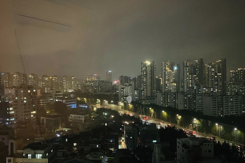 신사 한강 가로수강남 1번째 이미지