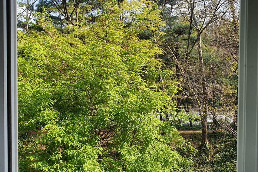 삼성서울병원👣도보8분 19번째 이미지