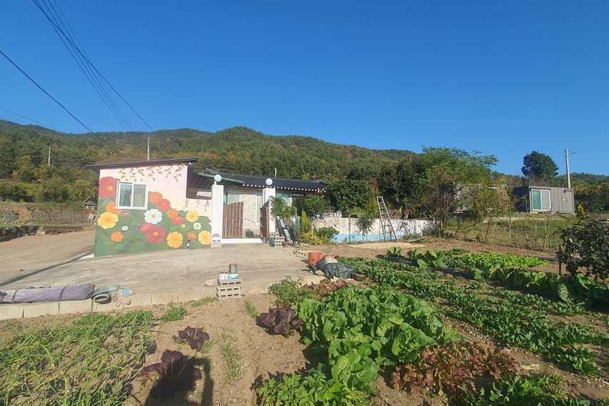 신흥바닷가 시골집 독채