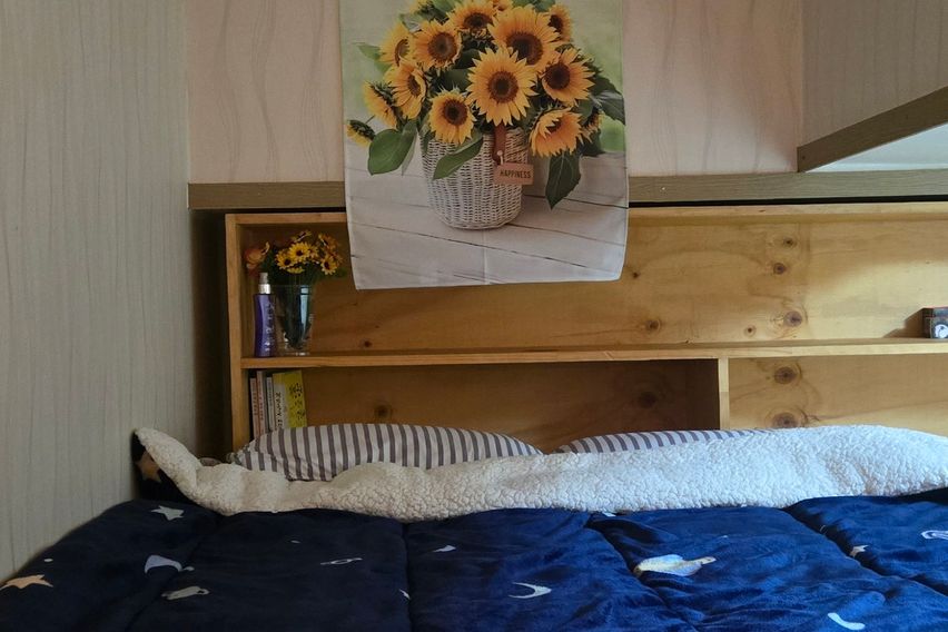 😽킴바 화정역3분 