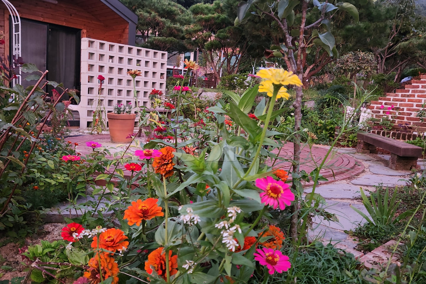 A room with a pretty garden in the forest. 14th image
