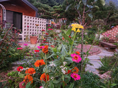 A room with a pretty garden in the forest. 14th image