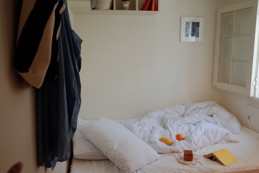 귀여운 투룸🫧반려동물 8번째 이미지