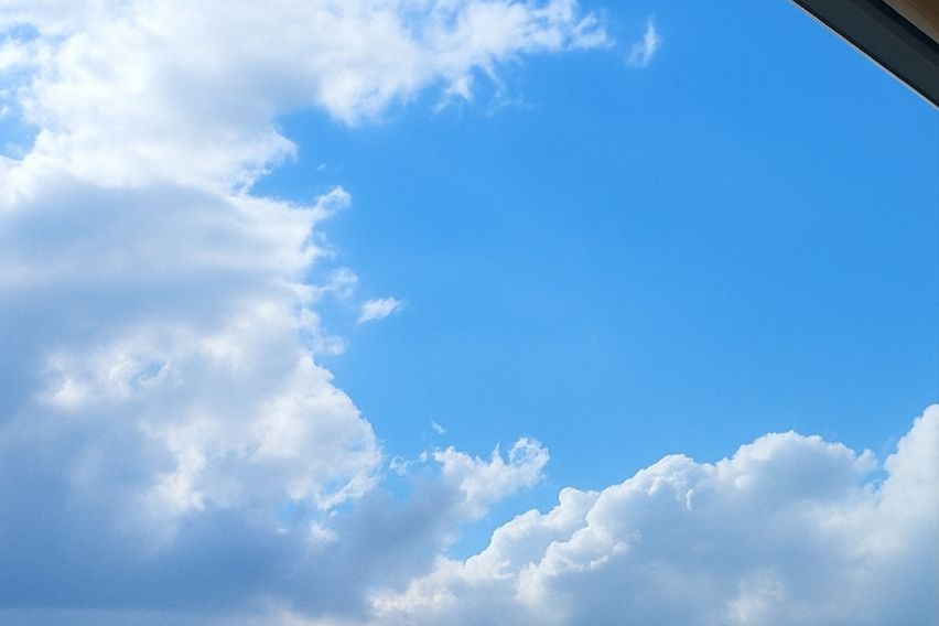 ✨️햇살가득 통창 뷰🌿