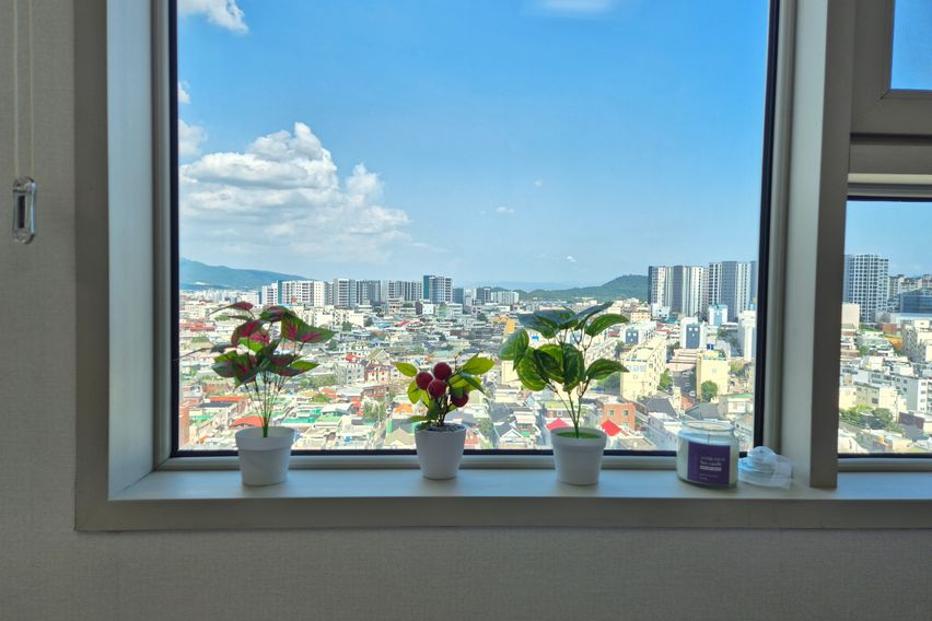 💁동대구 👍역세권