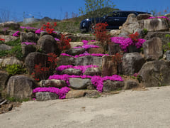 Hapcheon Lake Grid 1st Floor 12th image