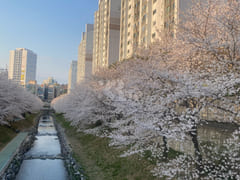 🌈무거동 최고 인기주택 5번째 이미지