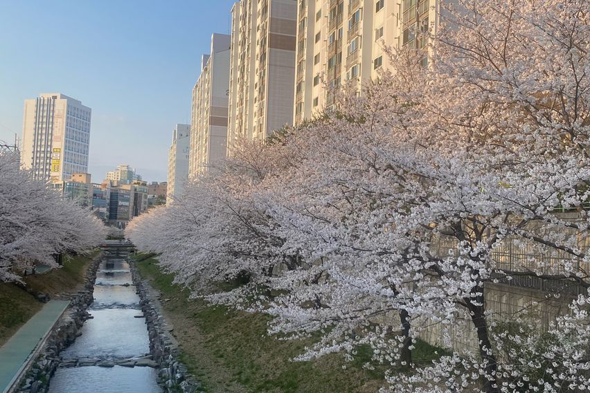 🌈무거동 최고 인기주택