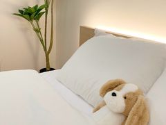 오픈가격할인 2퀸베드💕 5번째 이미지