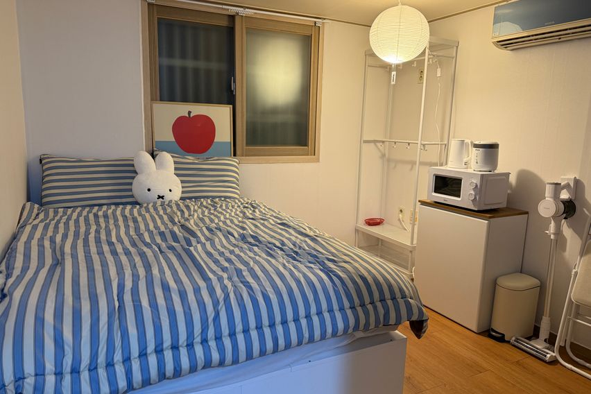 오픈특가🎀건대❇️성수