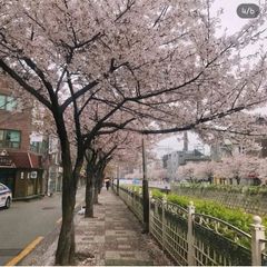 한성대입구 신축1.5룸 방 이미지