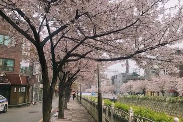 한성대입구 신축1.5룸