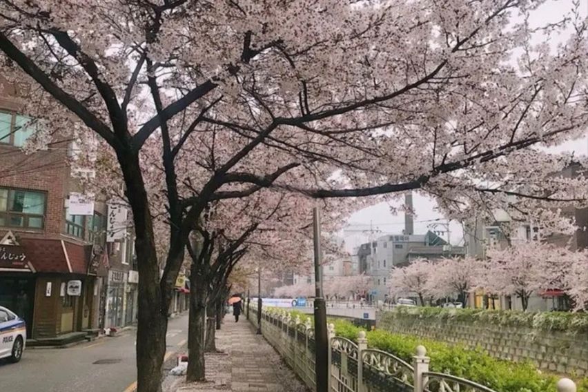 한성대입구 신축1.5룸