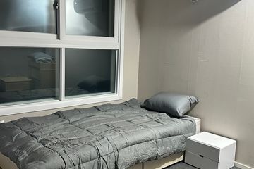 RoomMatePik4