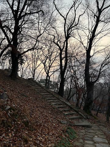 모니카방이에요1