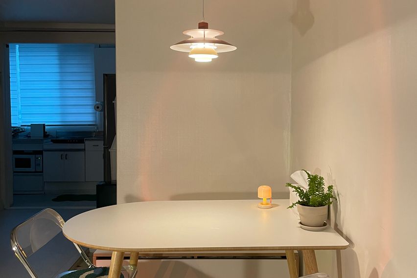 4인/주차/반려동물