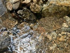🌿용인 광교산 자연주택 14번째 이미지